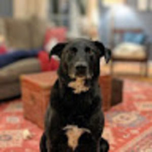 Meet your Posher, Charles